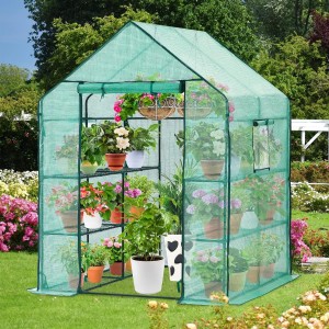 Greenhouse para sa Lawas nga adunay Durable PE Cover Greenhouse para sa Outdoors nga adunay Durable PE Cover 6