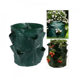 Grow Bags / PE Strawberry Grow Bag / Champignon Uebstbeutel Pot fir Gaart