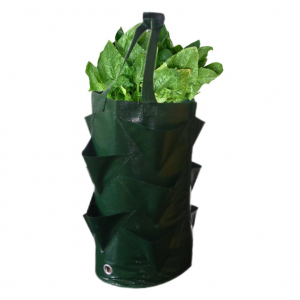 ቦርሳዎችን ያሳድጉ /PE Strawberry Grow Bag/የእንጉዳይ የፍራፍሬ ከረጢት ለጓሮ አትክልት ማሰሮ የእንጉዳይ የፍራፍሬ ከረጢት ማሰሮ ለአትክልተኝነት 3