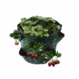 Grow Bags /PE Frawli Grow Bag /Mushroom Frott Borża Pot għall-Ġardinaġġ Faqqiegħ Frott Borża Borża għall-Ġardinaġġ 4